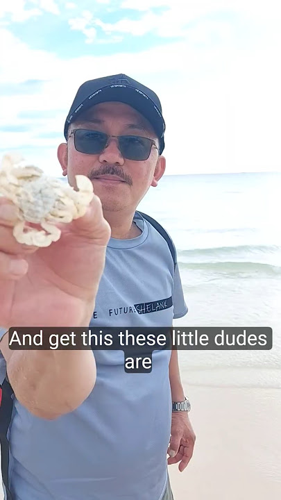 I'm looking for Shell, but this is what we found #travel #shortvideo