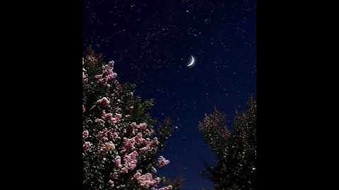 تلاوة خاشعة وممتعه وهادئه. (سورة المزمل). "للقارئ/إبراهيم محمد الشيخ