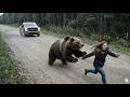 The Most Dangerous Bear Encounters Ever Filmed in the Wild