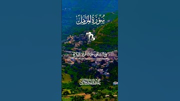 تلاوة تفوق الوصف #islamic_video #اكسبلور #تلاوة #المصحف #aslam #duet #trend #لايك #islamicquan