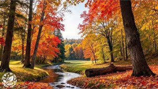 Richard Clayderman Piano Collection 🎹 Romantic & Relaxing Music | Piano by Eva