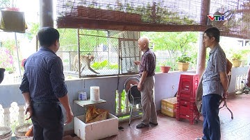 Người dân tự nguyện giao nộp động vật hoang dã, nguy cấp, quý hiếm