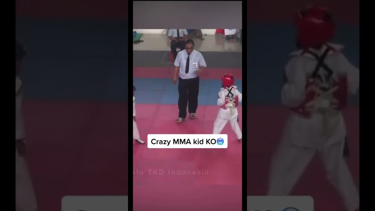 Craziest Knockout by an MMA KID