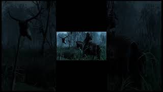 Cd Projekt Red New Hire