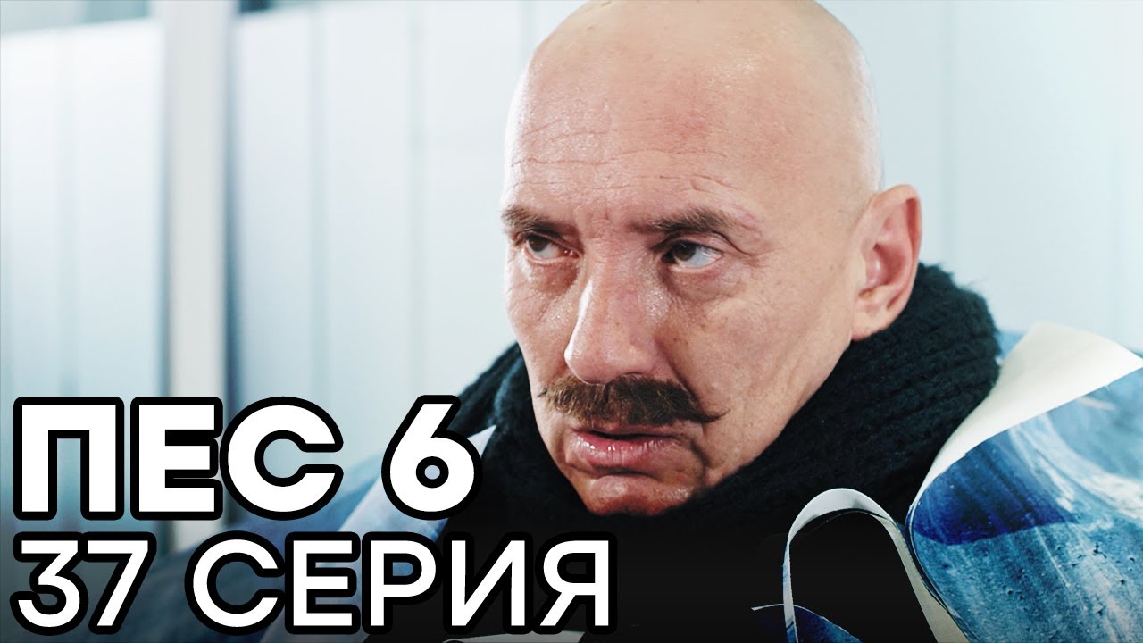 Сериал ПЕС 6 - 6 сезон - 37 серия - ВСЕ СЕРИИ смотреть онлайн | СЕРИАЛЫ ICTV