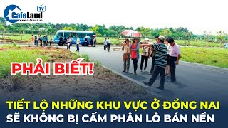 Tiết lộ những khu vực ở Đồng Nai sẽ KHÔNG BỊ CẤM phân lô bán nền, người dân nhất định PHẢI BIẾT