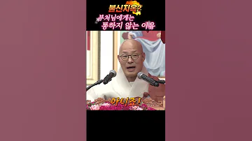 불신지옥 백날 떠들어봤자 어차피 부처님한테는 안 통해요 진우스님 불교 부처님 스님법문 SHORTS 
