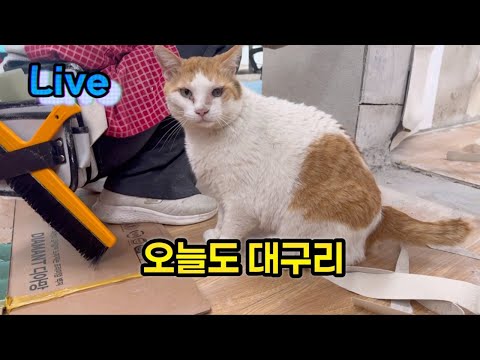 어서오이소~