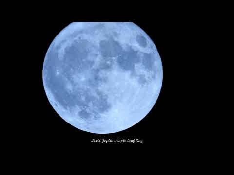 🌜Scott Joplin：Maple Leaf Rag　スコット・ジョプリン：メイプル・リーフ・ラグ