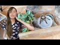 why my skeleton leg tarantula enclosure SUCKS