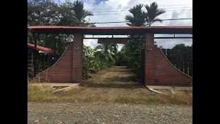 vendo 3 fincas en Horquetas Sarapiquí Costa Rica JUNTAS o SEPARADAS Vera Castro Chaves 506-8428-6566 vendo 3 fincas en Horquetas Sarapiquí Costa Rica JUNTAS o SEPARADAS Vera Castro Chaves 506-8428-6566