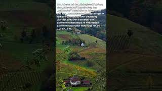 Herbstliches Achertal Zeit der Herbstdekorationen #kappelrodeck #Achertal