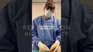 Rejuvenation Rhinoplasty (Nose Job) for older patients explained by Dr. Wise in Wayne, NJ!