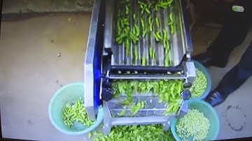 Peas Peeler Peeling Shelling Machine