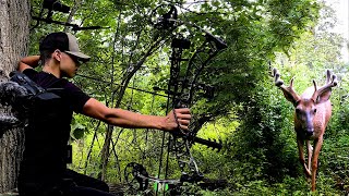 2024 Hunting and Camera Setup