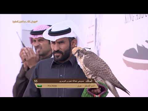 ملخص أشواط الملواح لليوم التاسع مهرجان الملك عبدالعزيز للصقور 2