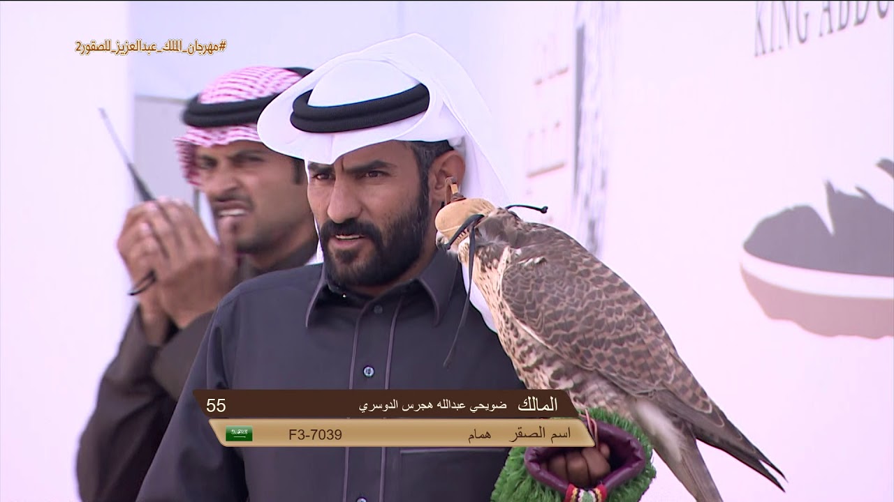 ملخص أشواط الملواح لليوم التاسع مهرجان الملك عبدالعزيز للصقور 2