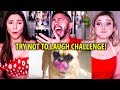 TRY NOT TO LAUGH CHALLENGE | Funny Cat & Dog Vines | Reaction!