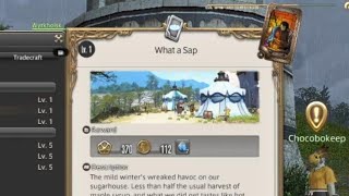 FF14 - LQ - What a Sap - Lv.1