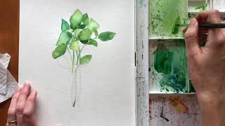 Watercolor Basil Tutorial