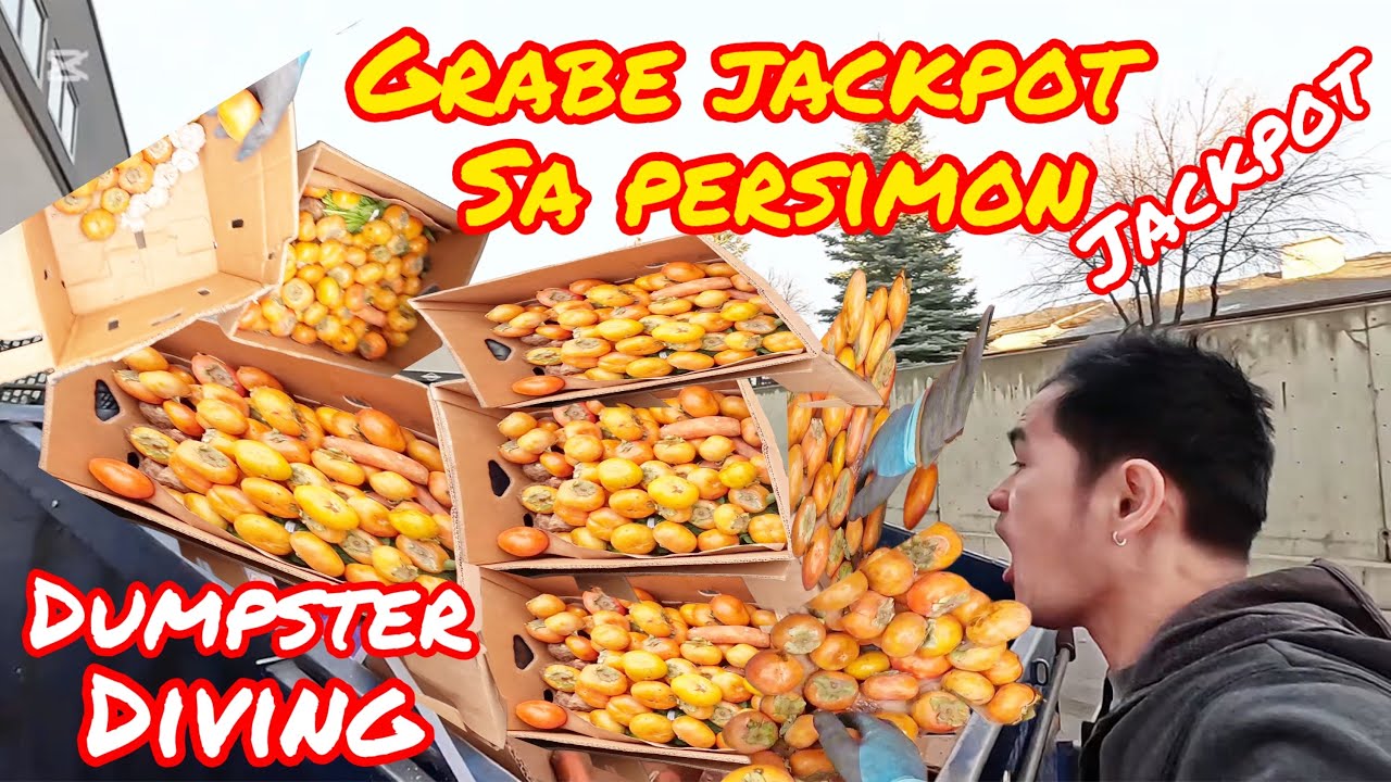 DUMPSTER DIVING/GRABE ANG JACKPOT ANG DAMING PERSIMON /LIFE IN CANADA #trending #viral #jackpot 