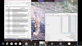 Explicación de mapas de distribución