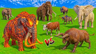 5 Giant Mammoth Elephants 🐘 VS 5 Angry Bulls & Buffalo 🐂 Who Will Win? | Paint Animals 3D Battle