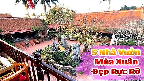 5 Nhà Vườn Cổ Truyền Nhiều Cây Cảnh Mùa Xuân Hoa Nở Rực Rỡ