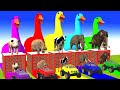 Long slide game with elephant gorilla buffalo hippopotamus tiger  funny 3d animals ep273
