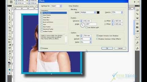 Adobe Indesign CS4 (TAMIL) FORMATING OBJECTS==Dropshadow-003.flv