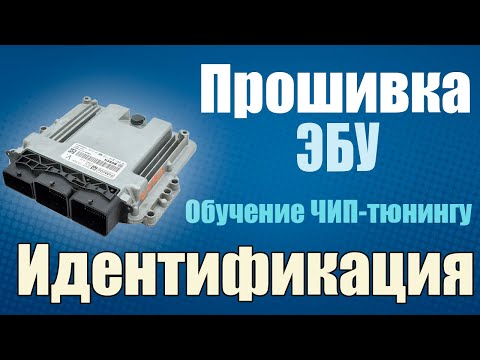 ЧИП тюнинг - ОБУЧЕНИЕ - Идентификация прошивок ЭБУ