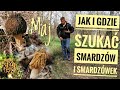 Zobacz gdzie rosną takie Grzyby!! SMARDZE, SMARDZÓWKI (MORCHELLA, VERPA)