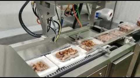 PPMD Clamshell Denesting and Closing System