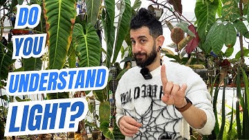 🌿 Grow Lights & Natural Light EXPLAINED: Stop Guessing What Your Plants Really Need