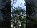 #shortvideo #rider #shortvideo