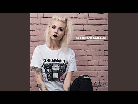 Cj Chemicals Llc