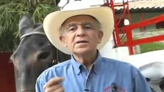 La Verdad Sobre Las Mulas