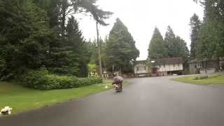 Spring:Sessions longboarding