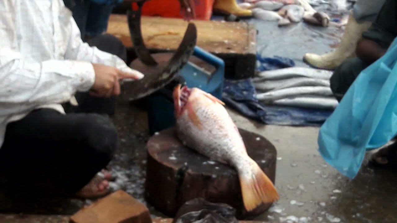 Karachi Fishery Amazing Fish Cutting fish cutting Tools Fish