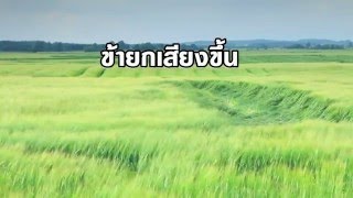 Video thumbnail of "ข้ายกเสียงขึ้น"