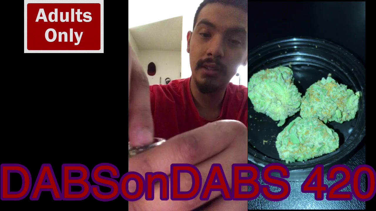 Ash catcher/bong & Lobo loco strain