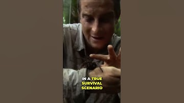 Survival Tips: Navigating Challenging Terrain for Ultimate Safety