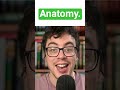Masterpiece, Composition, Anatomy: Vocabulary from Thinking in English #englishlearning #vocabulary