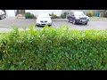 Small Hedge Trim With The HUSQVARNA 122HD45 #gardening#glasgow#husqvarna