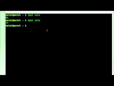 Find Console Width in BASH with system Variables