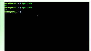 Find Console Width in BASH with system Variables