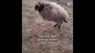 jisoobez ##okullardaşiddetehayır #tbd#esdil #orel #isfad #blackpink #keşfetbeniöneçıkar