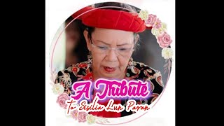 Tribute Cenek