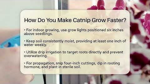 How Do You Make Catnip Grow Faster? - The Plant Enthusiast