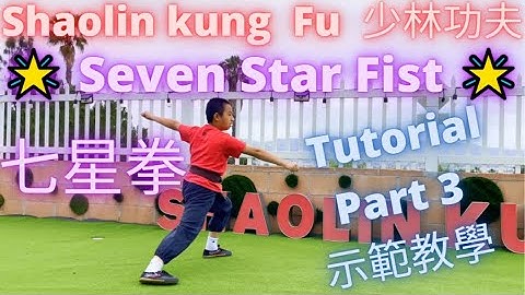 ► Shaolin Kung Fu Training Tutorial - Seven Star Fist (Qi Xin Quan ✨ 七星拳) #少林功夫 #功夫教學 示範 教學 🙏 Part 3